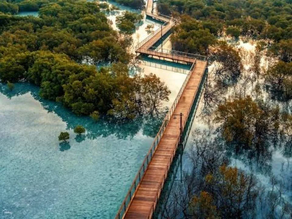 Jubail Mangrove Park private walking tour with a ranger