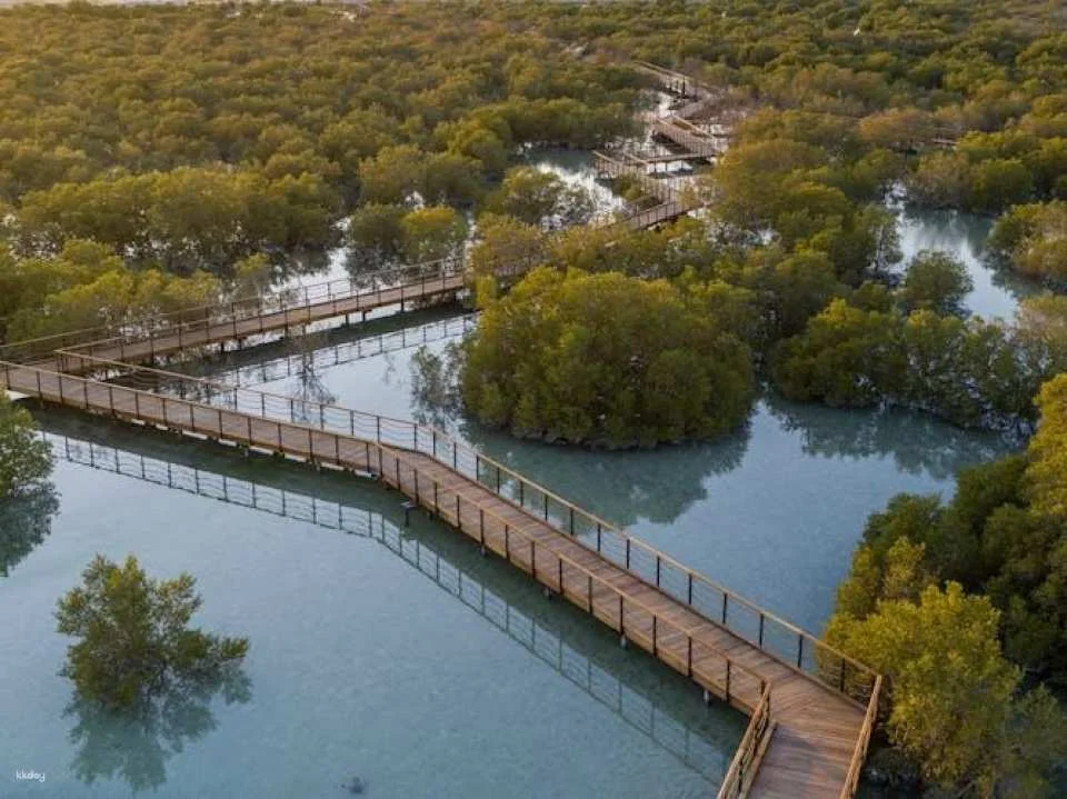 Jubail Mangrove Park private walking tour with a ranger