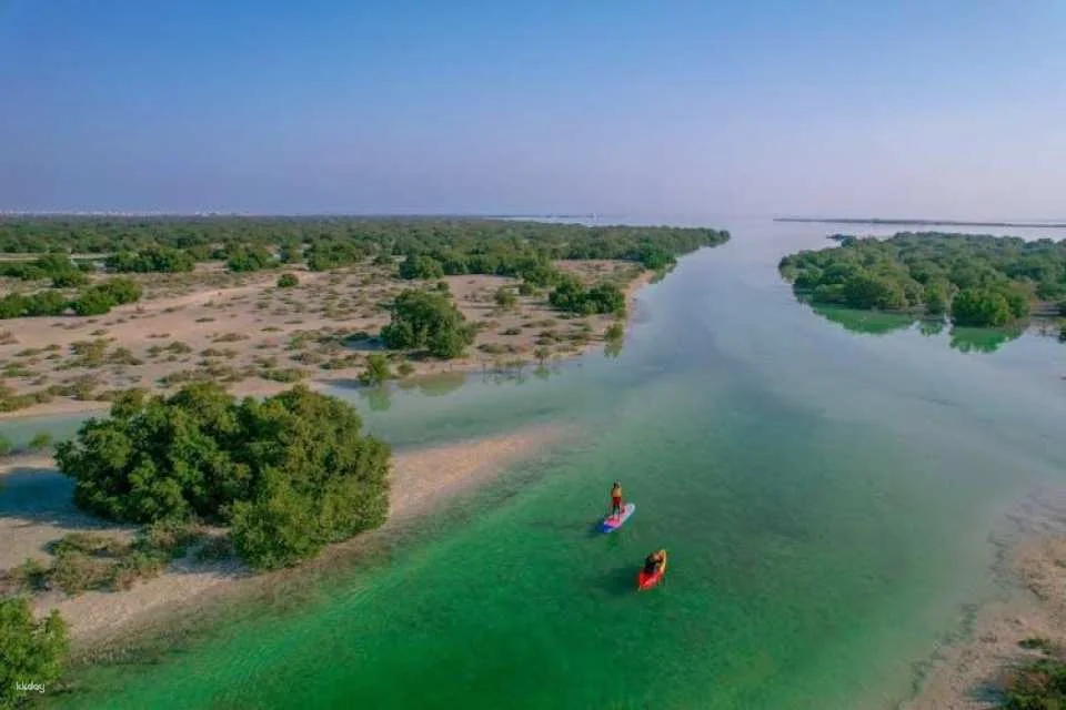 Jubail Mangrove Park private walking tour with a ranger