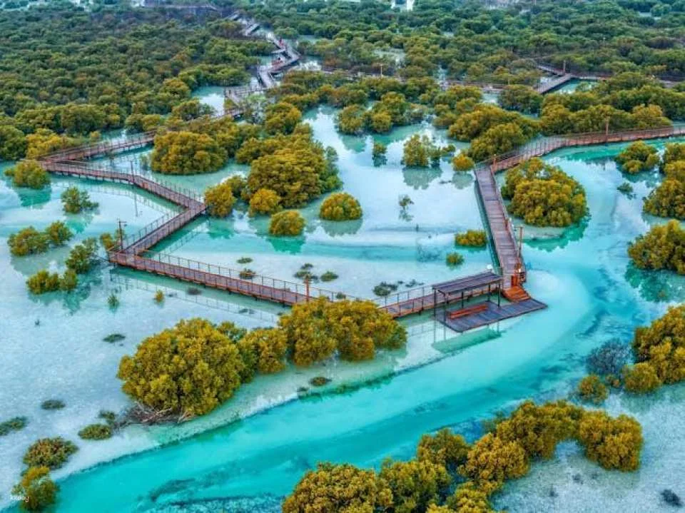 Jubail Mangrove Park private walking tour with a ranger