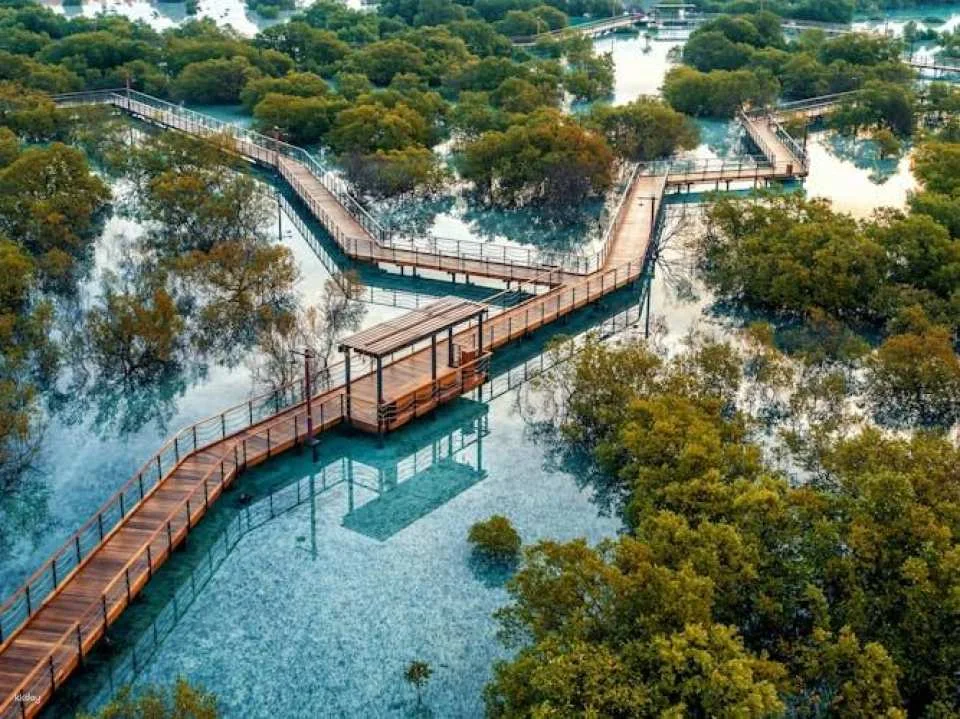Jubail Mangrove Park private walking tour with a ranger