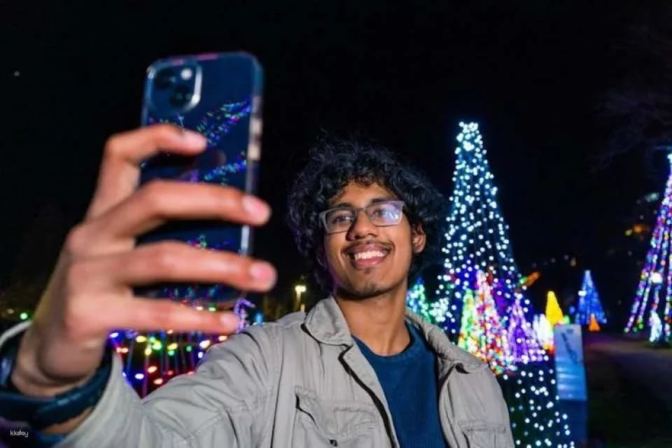 Niagara Winter Festival of Lights guided tour from Toronto