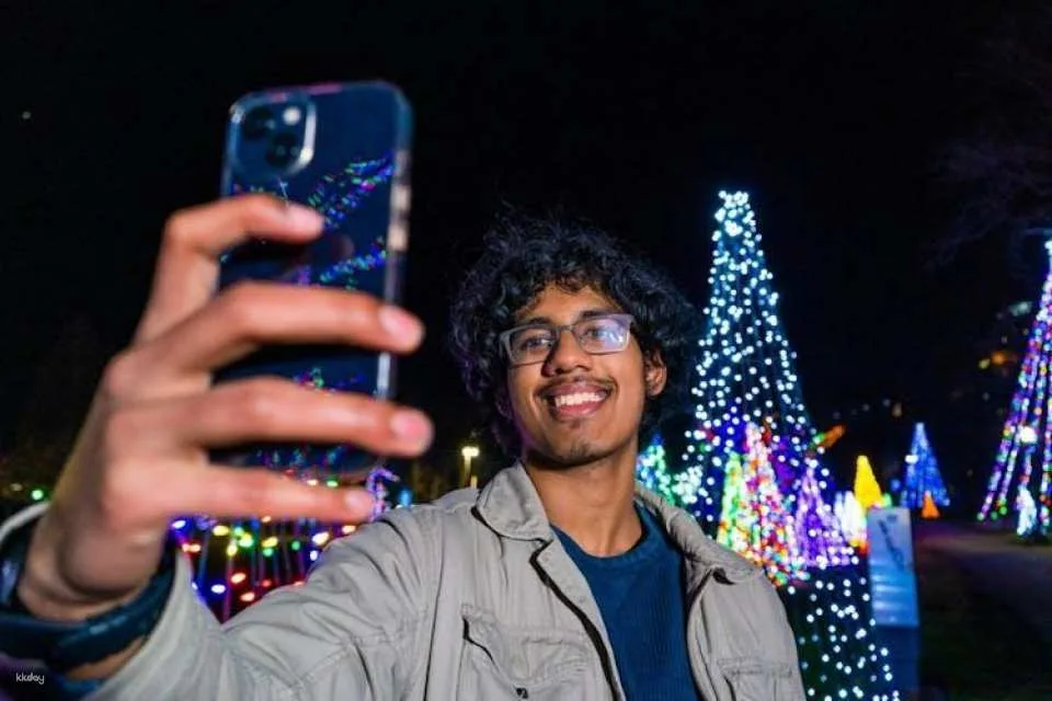 Niagara Winter Festival of Lights guided tour from Toronto