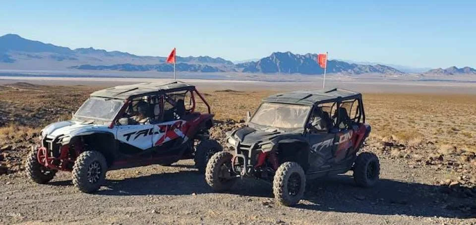 Las Vegas Desert buggy tour