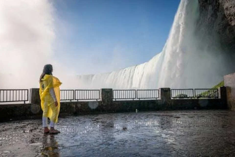 Niagara Falls highlights tour with optional boat trip (601101)