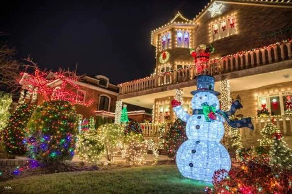 NYC Dyker Heights luxury holiday lights tour and hot cocoa (601112)