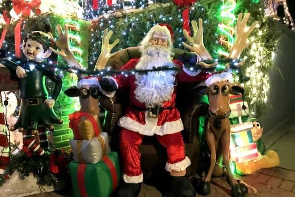 NYC Dyker Heights luxury holiday lights tour and hot cocoa