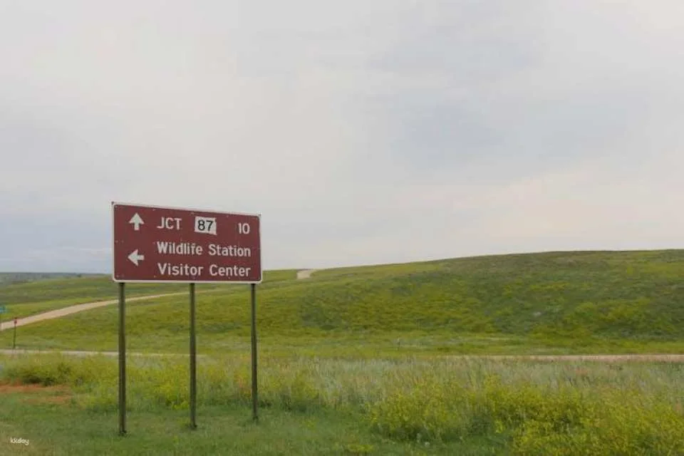 Custer State Park self-guided driving audio tour