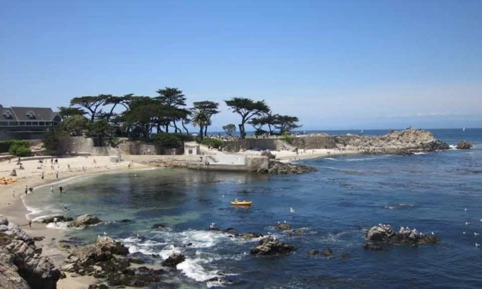 Monterey and Carmel full-day tour from San Francisco