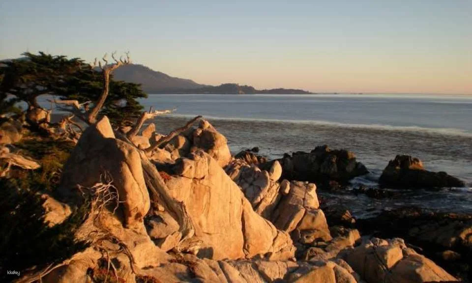 Monterey and Carmel full-day tour from San Francisco
