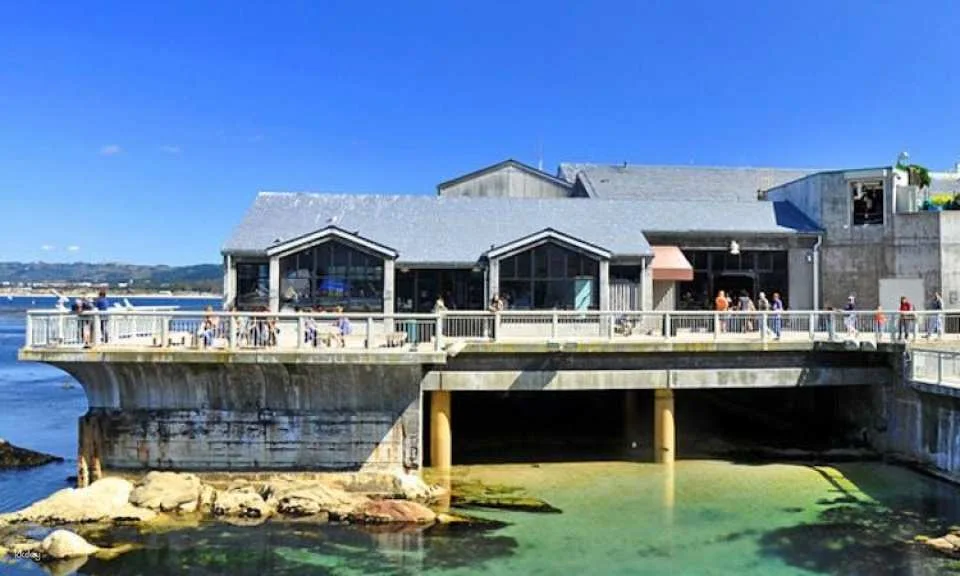 Monterey and Carmel full-day tour from San Francisco