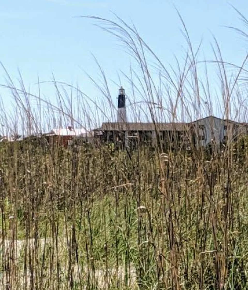 Private tour of Savannah's Historic District & islands