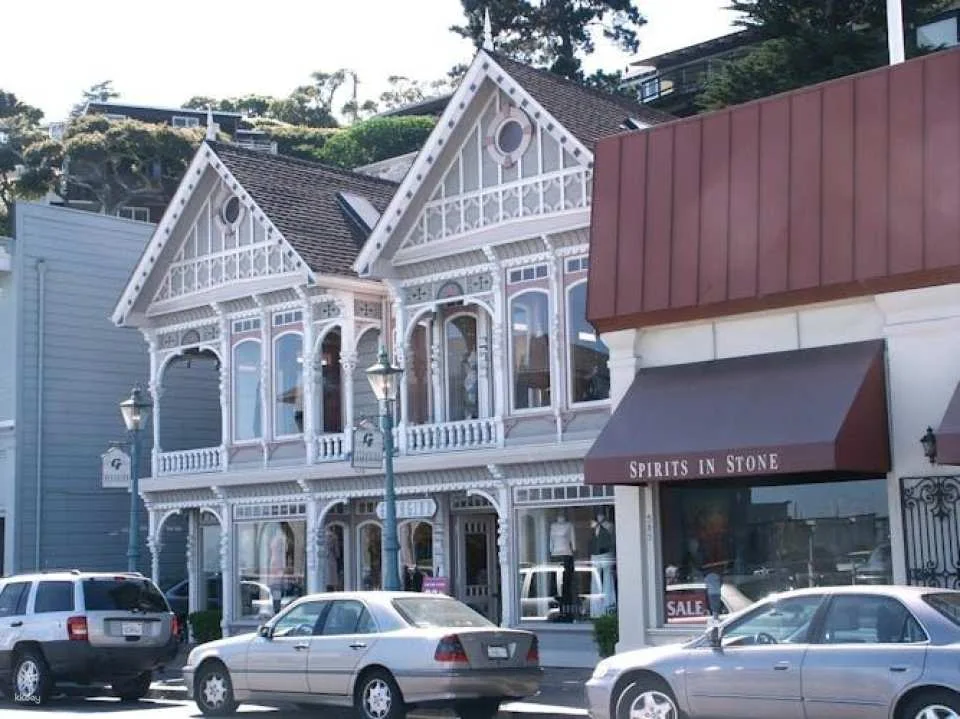 San Francisco city tour and Muir Woods combo