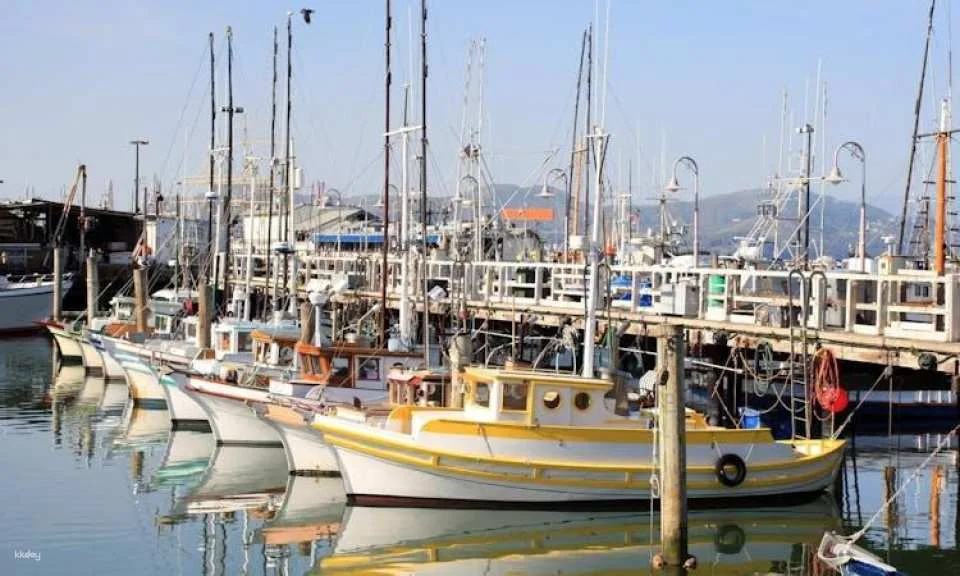 San Francisco city tour and Muir Woods combo