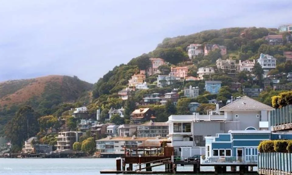 San Francisco city tour and Muir Woods combo