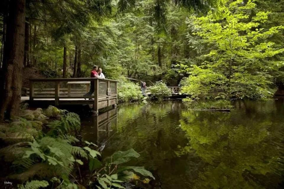 Vancouver City and Capilano Suspension Bridge tour
