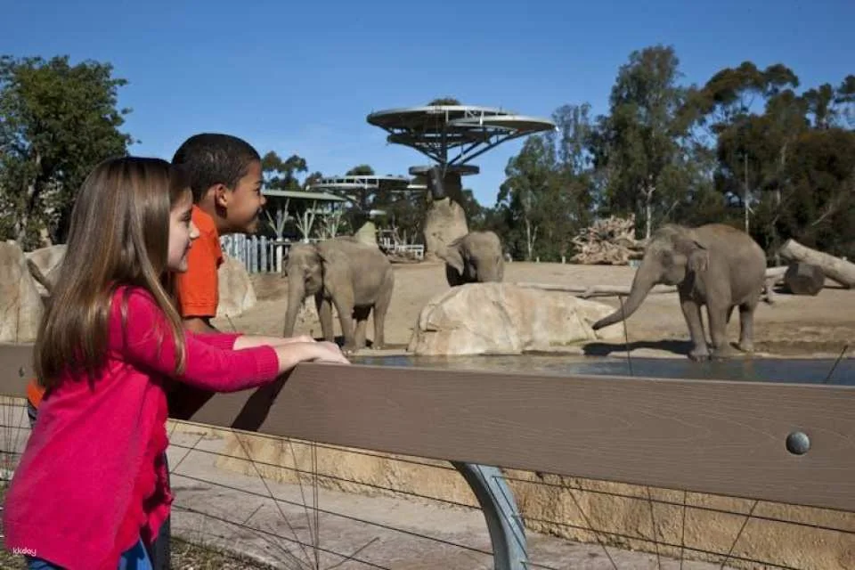 San Diego Zoo 1-day pass