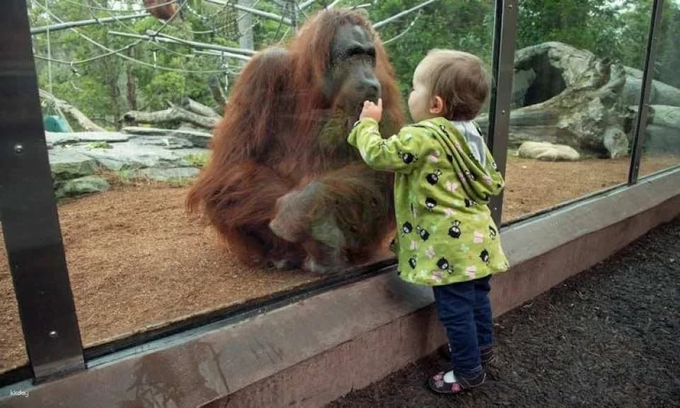 San Diego Zoo 1-day pass