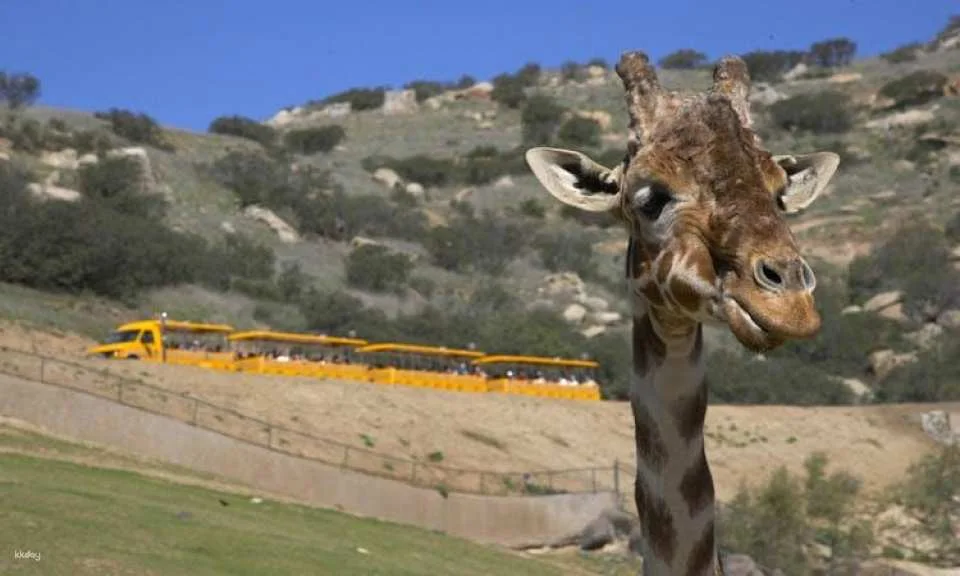 San Diego Zoo Safari Park 1-day pass