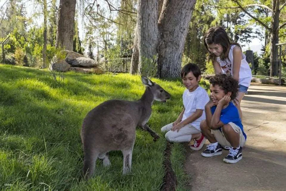 San Diego Zoo Safari Park 1-day pass