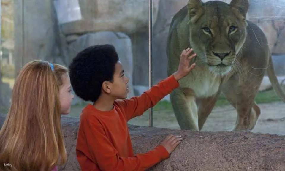 San Diego Zoo Safari Park 1-day pass