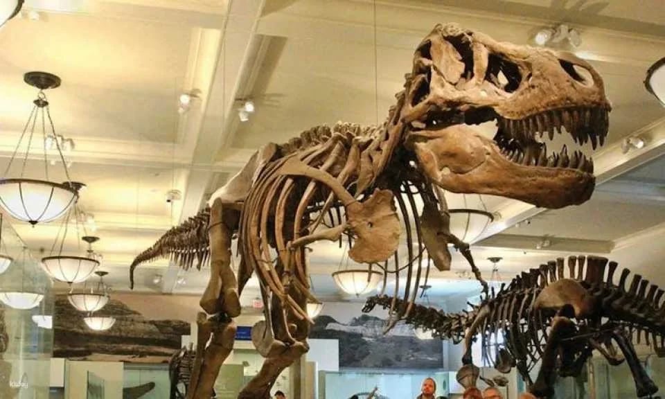 Go City | New York Explorer Pass for 2 to 10 Attractions