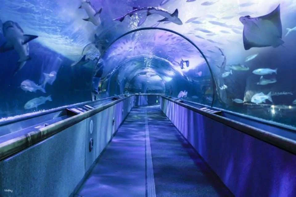 Go City | San Francisco All-Inclusive Pass