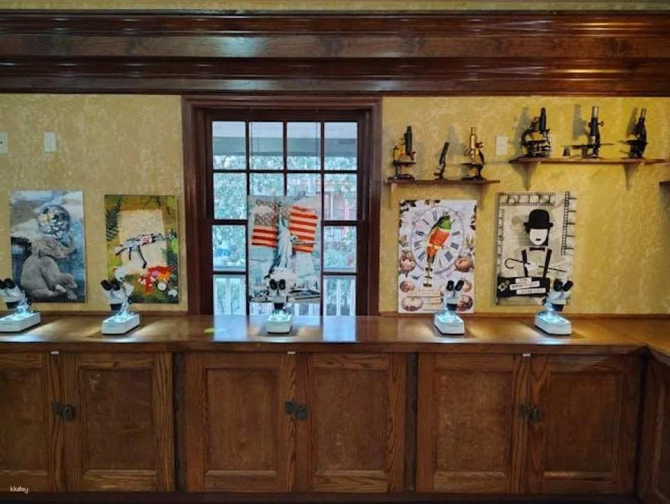 Tiny Art Museum entrance ticket