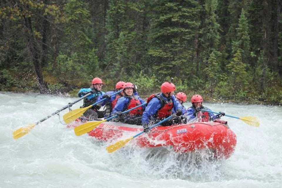 Sunwapta river's Class 3 rapids rafting