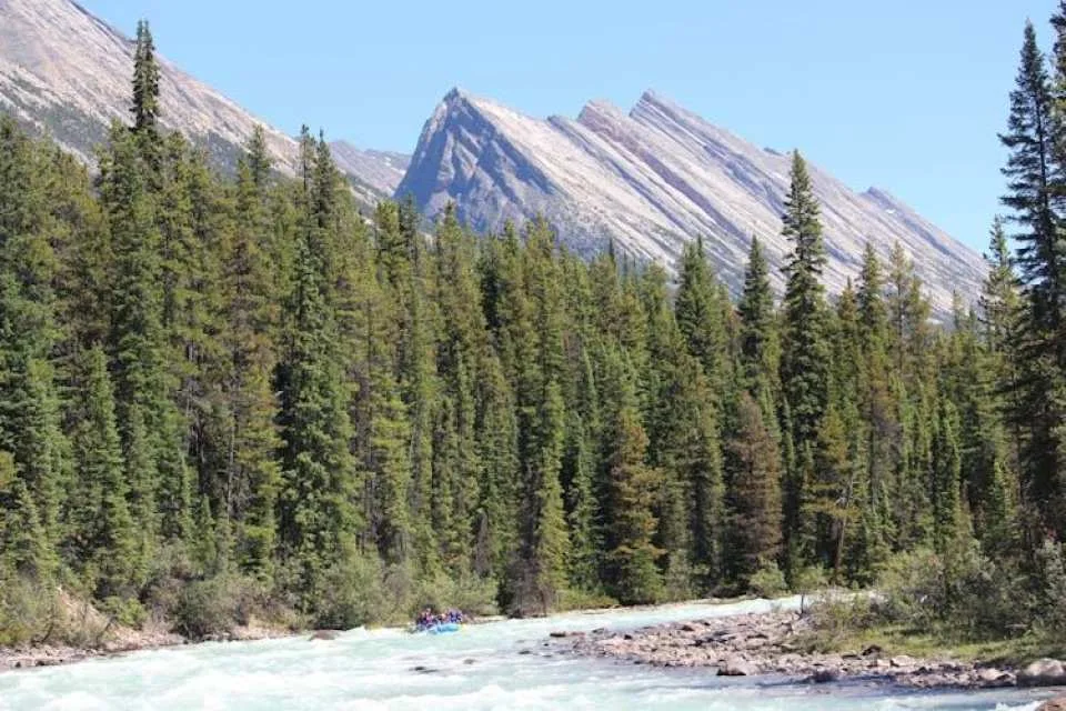 Sunwapta river's Class 3 rapids rafting