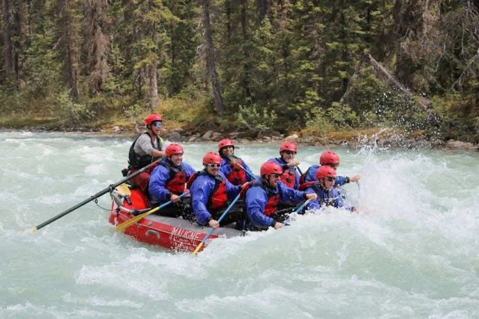 Sunwapta river's Class 3 rapids rafting