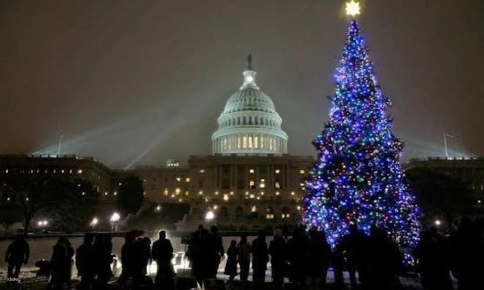 DC holiday lights tour