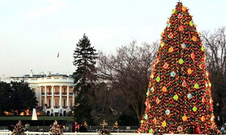 DC holiday lights tour