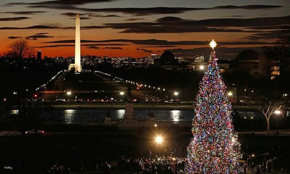 DC holiday lights tour