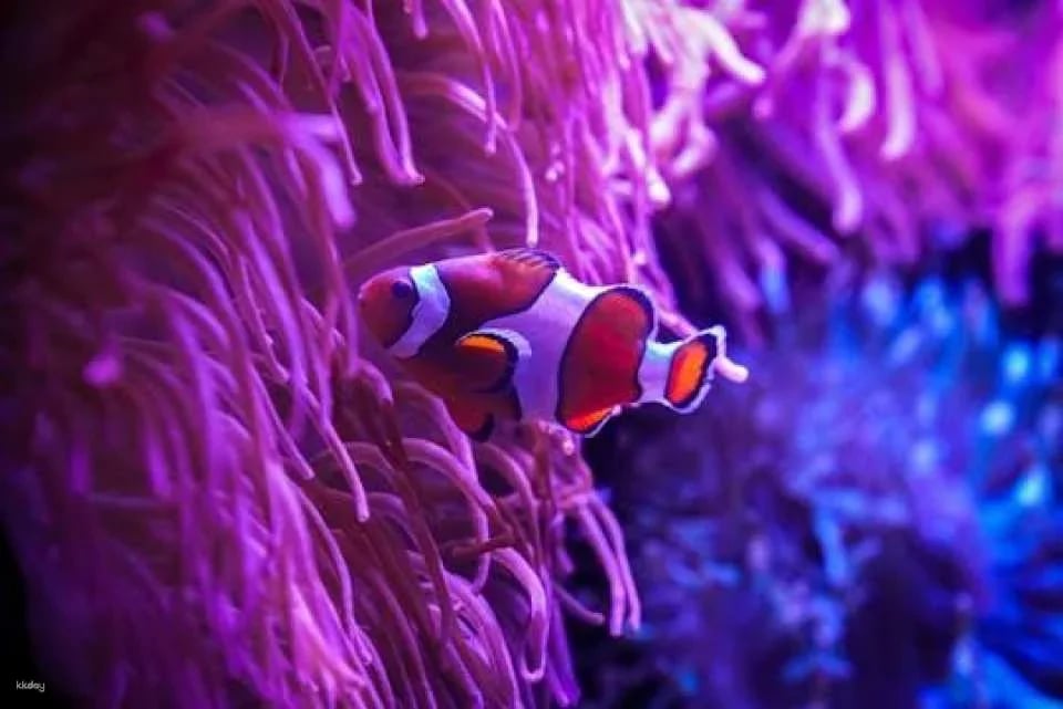 Tickets to ZooQuarium in Tampa