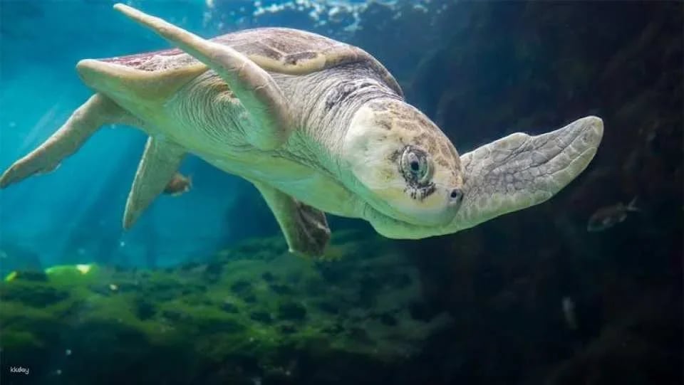 Tickets to ZooQuarium in Tampa