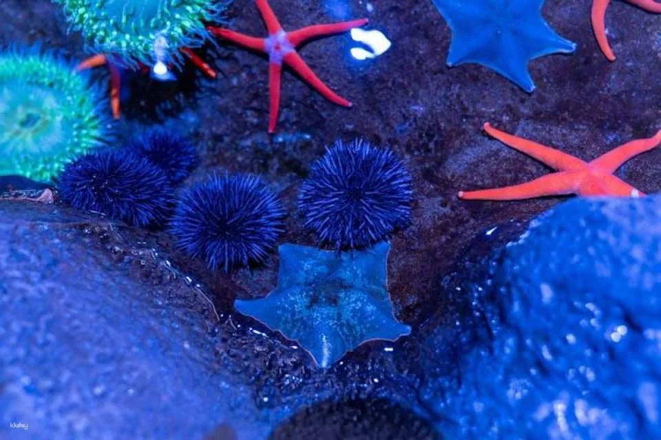 Tickets to ZooQuarium in Tampa