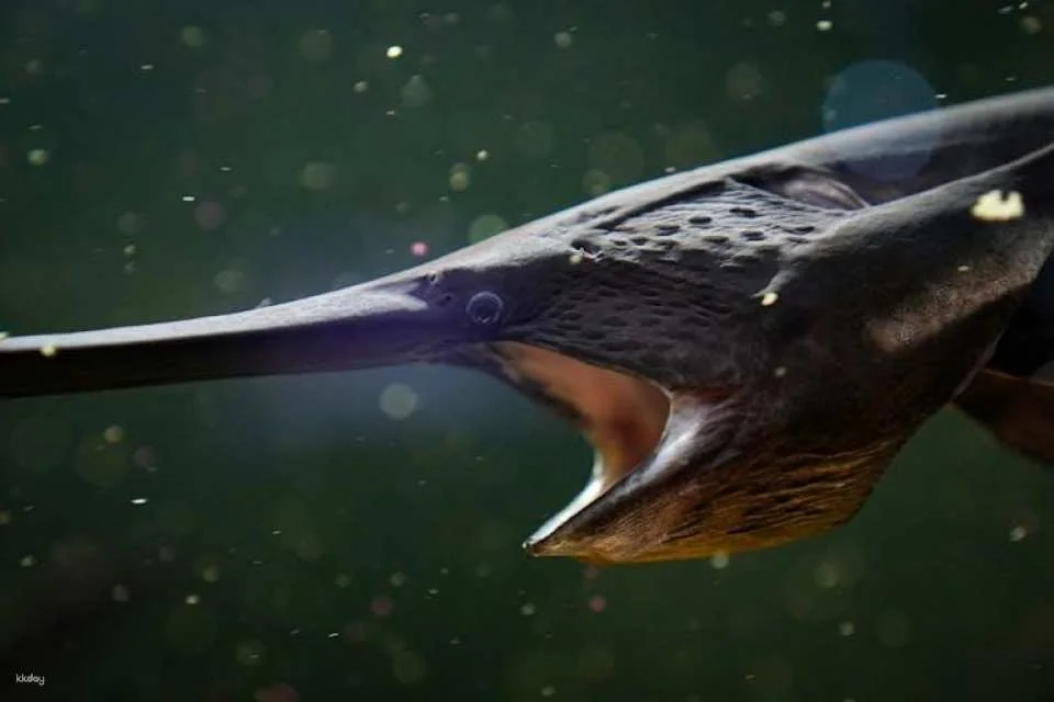Tickets to ZooQuarium in Tampa