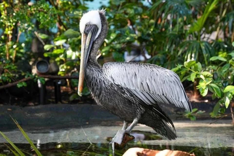 Tickets to ZooQuarium in Tampa