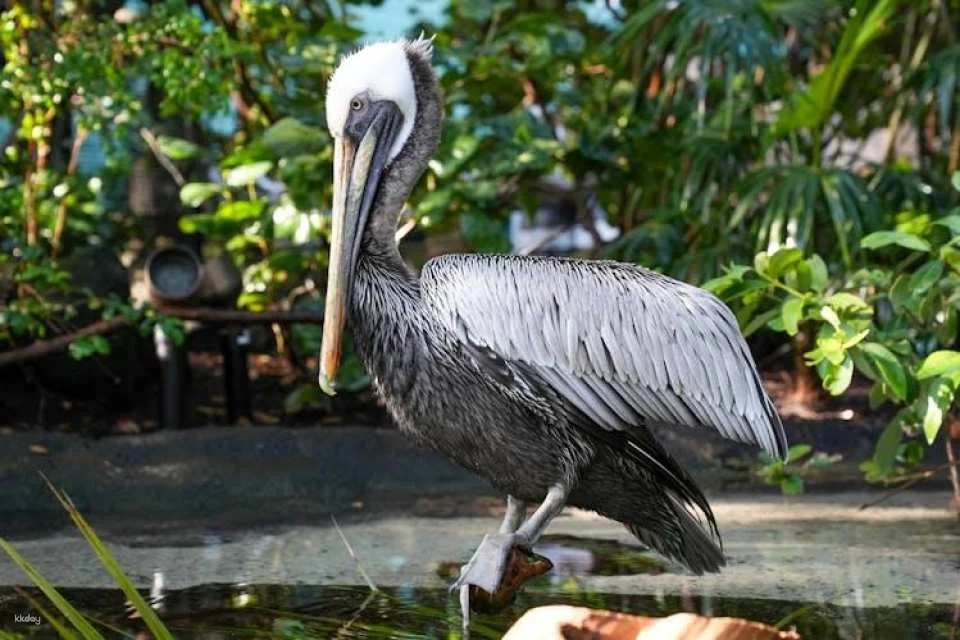 Tickets to ZooQuarium in Tampa