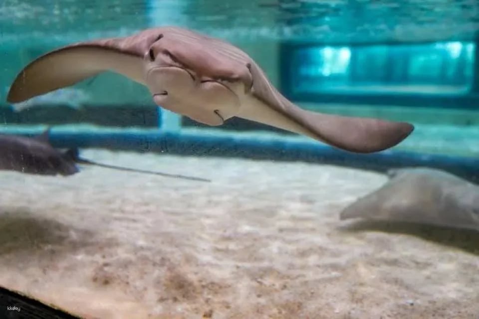 Tickets to ZooQuarium in Tampa