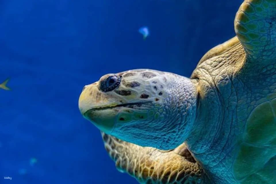 Tickets to ZooQuarium in Tampa