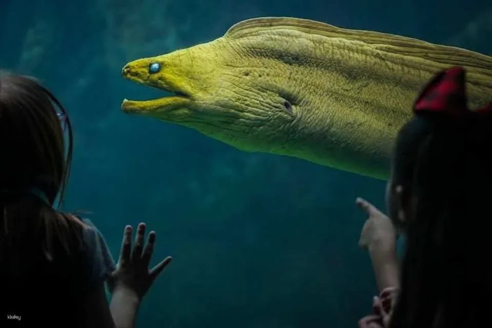 Tickets to ZooQuarium in Tampa