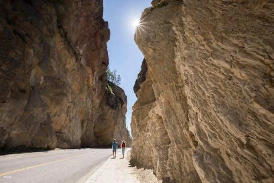 Kootenay National Park full-day tour from Calgary (601313)