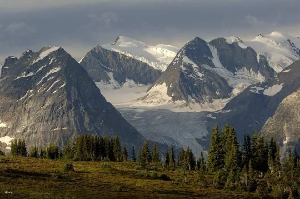 Kootenay National Park full-day tour from Calgary