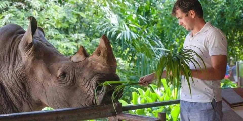 Miami Zoo tickets with transportation