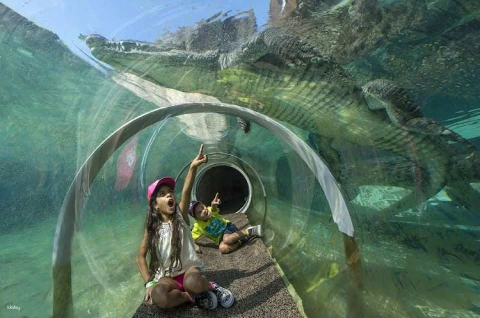 Miami Zoo tickets with transportation