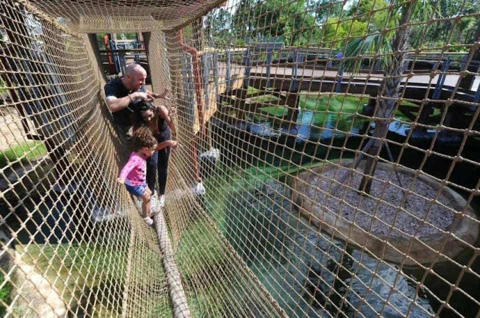 Miami Zoo tickets with transportation