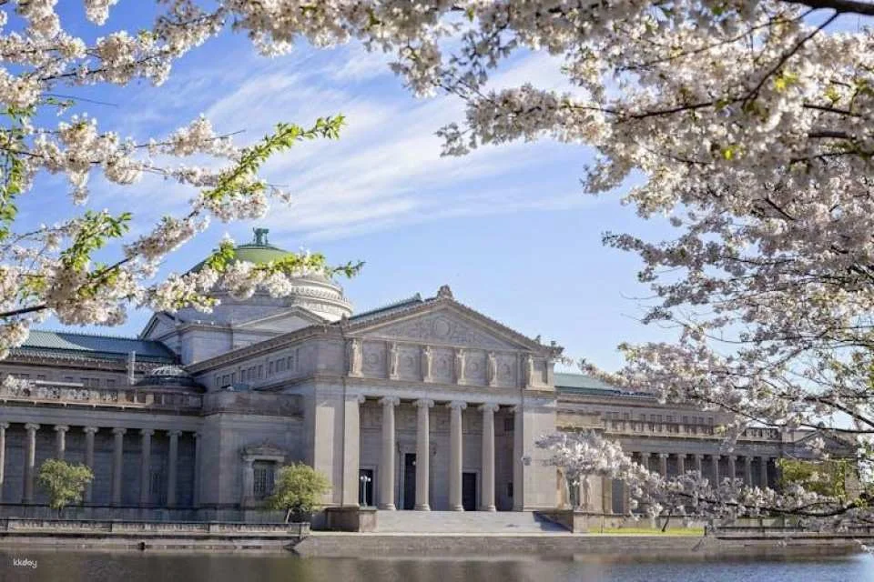 Museum of Science and Industry Tickets and Audio Tour