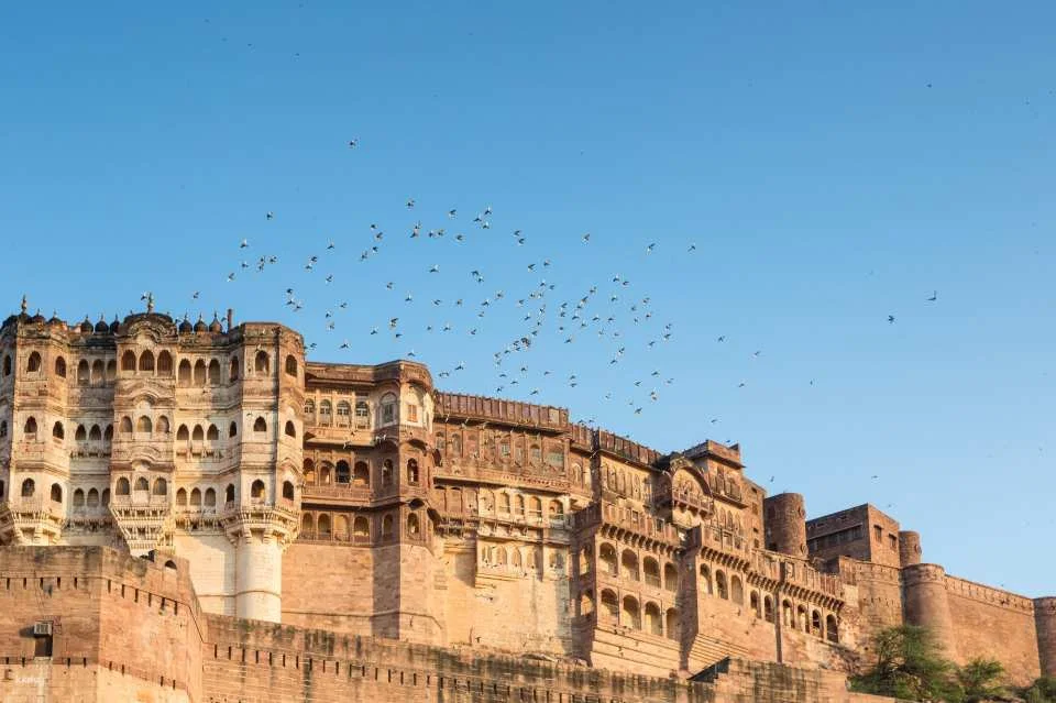 9-Day Rajasthan Heritage Tour with Udaipur, Jodhpur, Jaisalmer and Bikaner | India